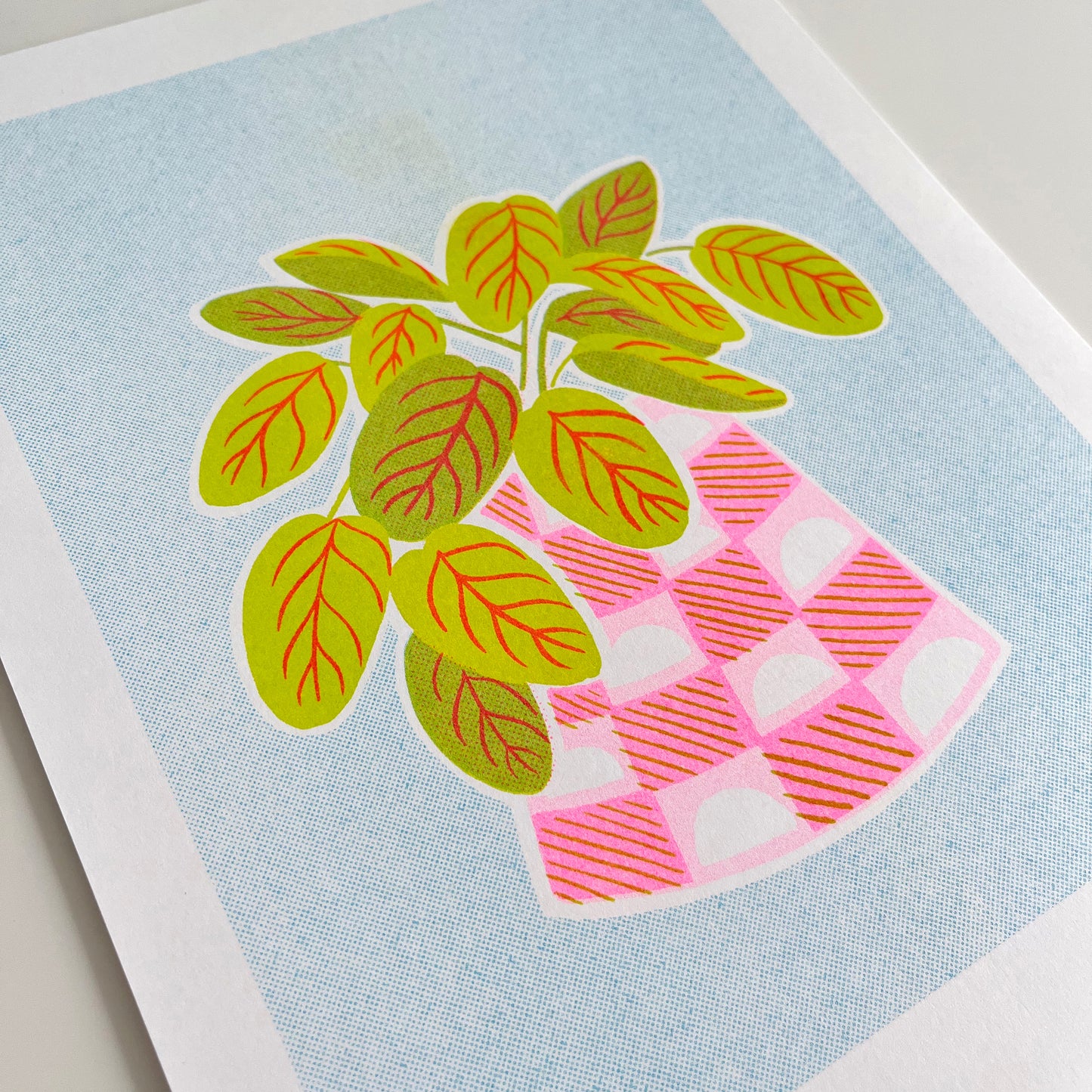 Plantie